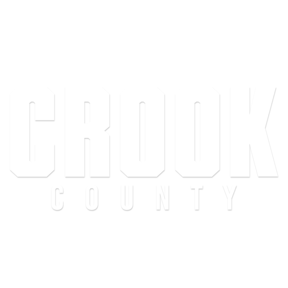 PARAMOUNT WINDOW DECAL